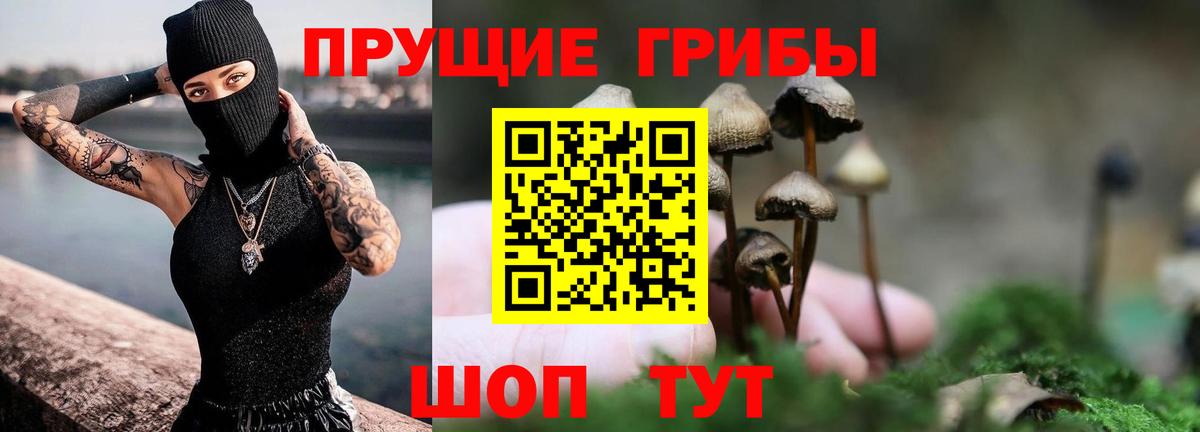 Сибай  Галлюциногенные грибы GOLDEN TEACHER  Вход с VPN 